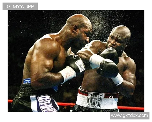 霍利菲尔德与托尼精彩对决视频回顾及赛后分析