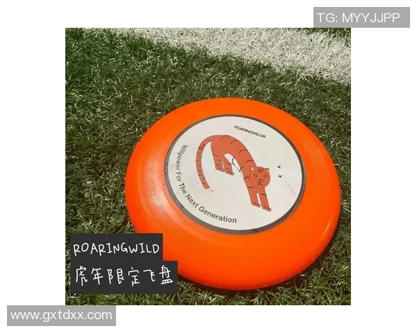 飞盘节奏全解析从入门到精通的全面指南与技巧分享MBA