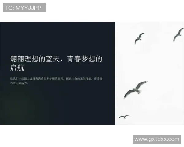 301梦想与飞马的激情碰撞探索未来的无限可能与梦想实现之路