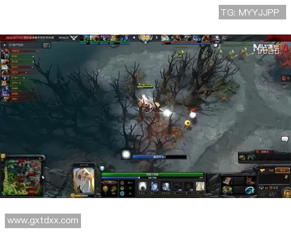 DOTA2热议IG战队耐力争议引发玩家热烈讨论与反思 DOTA2热议IG战队耐力争议引发玩家热烈讨论与反思