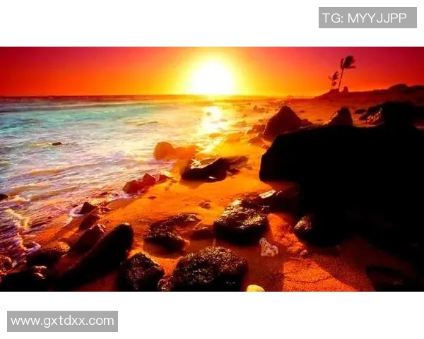 周磊独家分享网球心得与技巧助你提升球技的全面指南