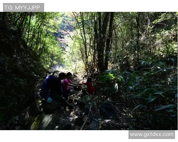 广州攀岩队团队协作的独特优势与其他队伍的深度比较分析MBA