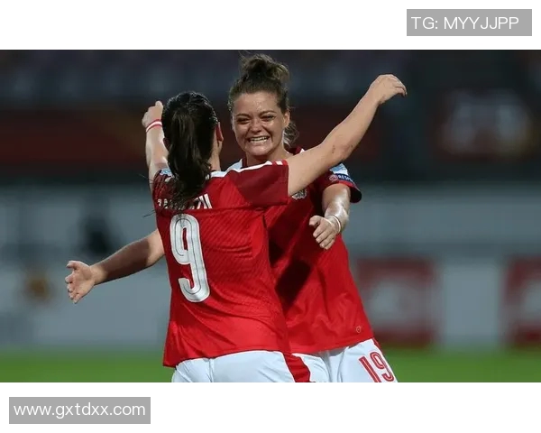 精彩回顾奥地利与波兰对决视频集锦全场亮点一网打尽